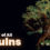 The Root of All E-vulns
